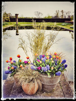 Godinton House Gardens, Ashford.