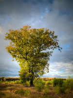 _DCH0379_81_83_82_78_80_84hdr2-286